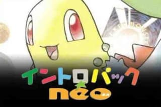 Intro Pack Neo (Chikorita)