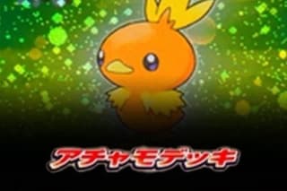 Torchic Constructed Starter Deck